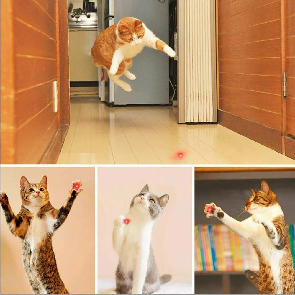 Playful Red Laser Light: A Fun Way to Entertain Your Cat and Dog